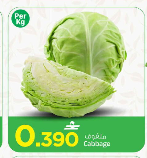 Cabbage available at MARK & SAVE in Oman - Muscat