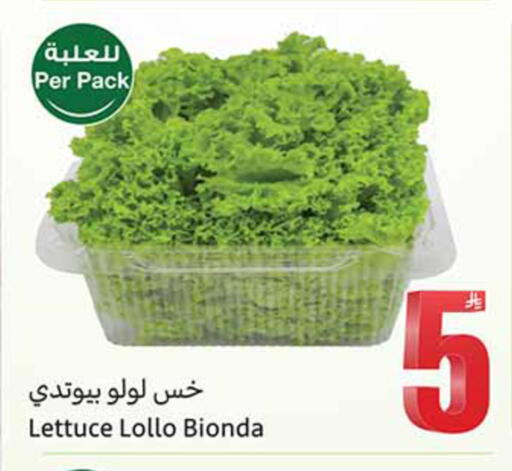 Lettuce available at أسواق عبد الله العثيم in مملكة العربية السعودية, السعودية, سعودية - الخبر‎