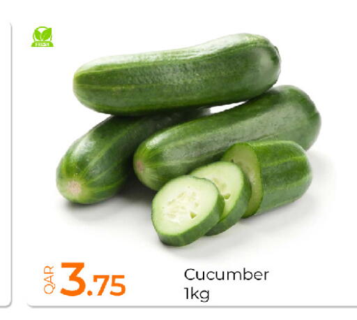 Cucumber available at جي-ماكس هايبرماركت in قطر - الدوحة