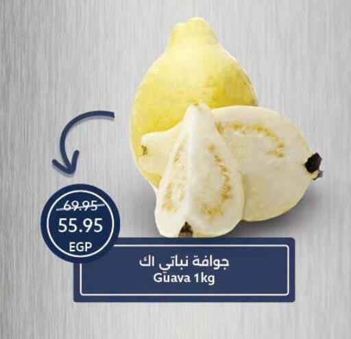 Guava available at Oscar Grand Stores  in Egypt - Cairo