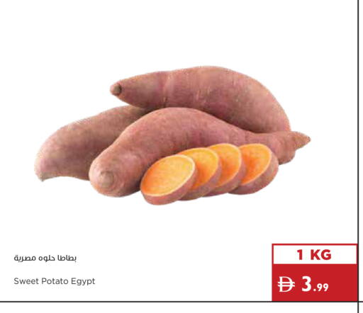 Sweet Potato from Egypt available at Istanbul Supermarket in UAE - Abu Dhabi