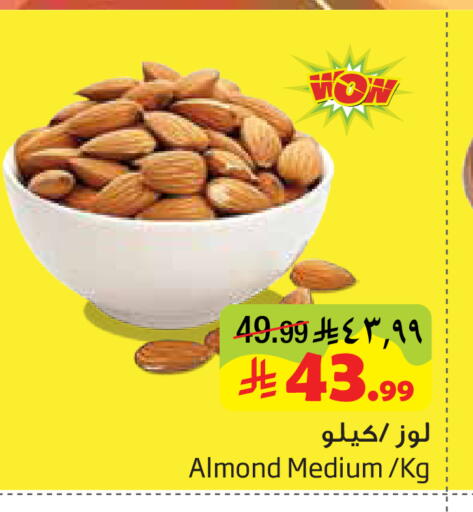available at ليان هايبر in مملكة العربية السعودية, السعودية, سعودية - المنطقة الشرقية