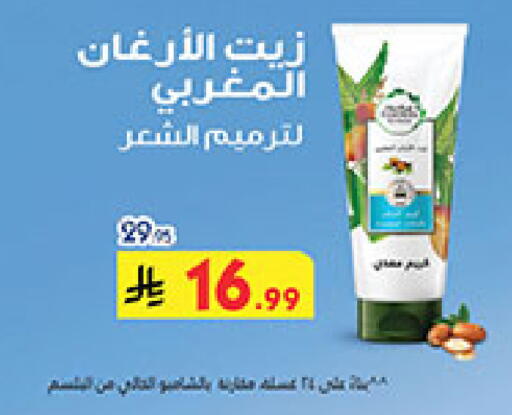 available at بن داود in مملكة العربية السعودية, السعودية, سعودية - الطائف