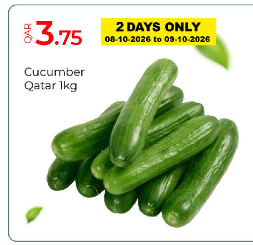 Cucumber from Qatar available at جي-ماكس هايبرماركت in قطر - الدوحة