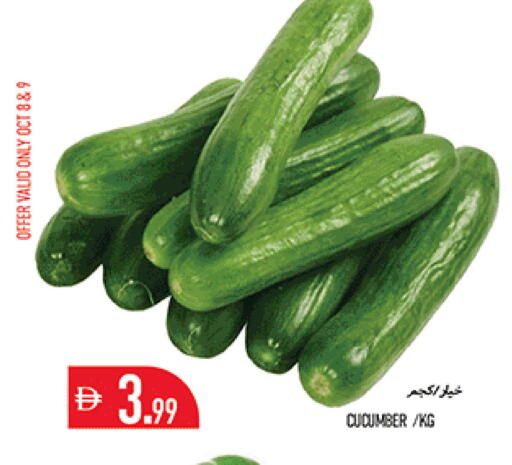 Cucumber available at Rawabi Market Ajman in UAE - Sharjah / Ajman