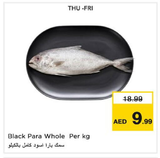 available at نستو هايبرماركت in الإمارات العربية المتحدة , الامارات - ٱلْعَيْن‎