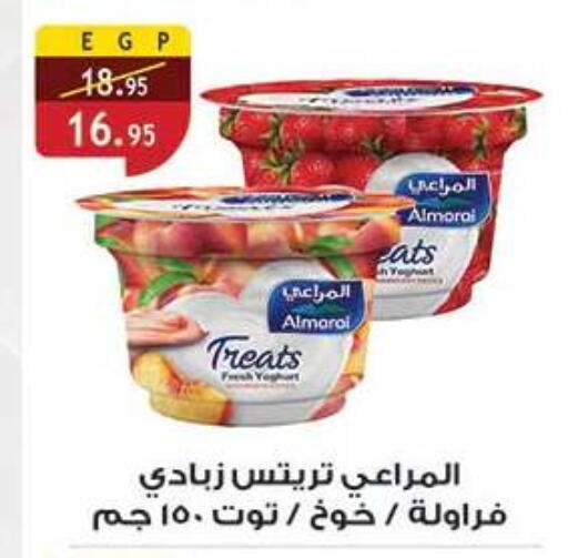 available at الرايه  ماركت in Egypt - القاهرة