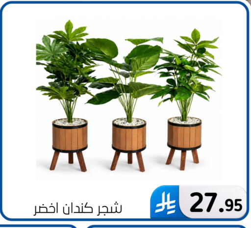 available at Al Hussain Top Up in KSA, Saudi Arabia, Saudi - Dammam