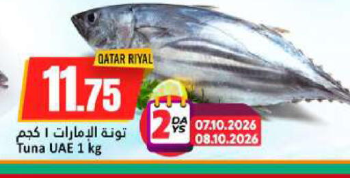 available at دانة هايبرماركت in قطر - الخور