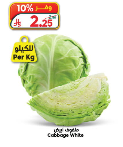Cabbage available at الدكان in مملكة العربية السعودية, السعودية, سعودية - ينبع