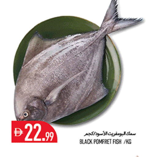 available at Rawabi Market Ajman in UAE - Sharjah / Ajman