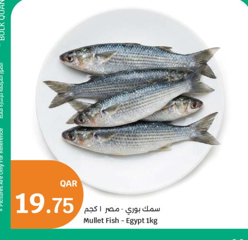 available at City Hypermarket in Qatar - Doha