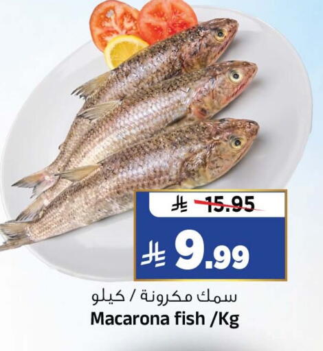 available at المدينة هايبرماركت in مملكة العربية السعودية, السعودية, سعودية - الرياض