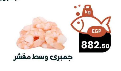 available at Arafa  in Egypt - Cairo