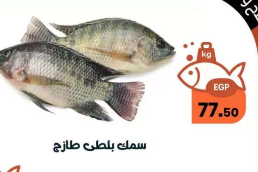 available at Arafa  in Egypt - Cairo