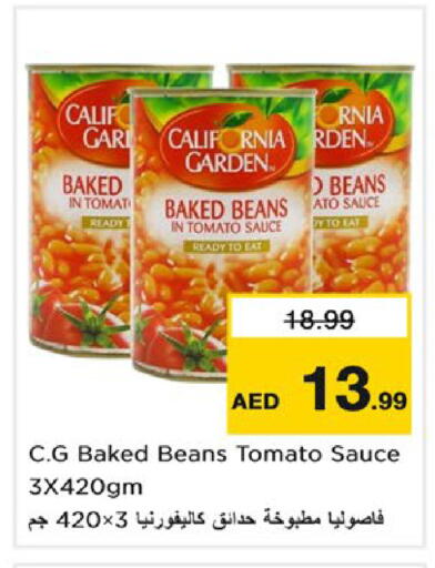 Tomato available at نستو هايبرماركت in الإمارات العربية المتحدة , الامارات - ٱلْعَيْن‎