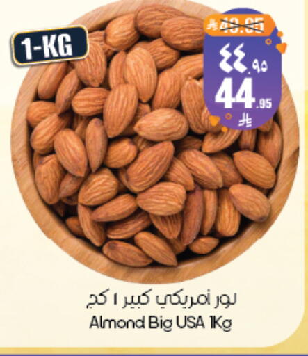 available at City Flower in KSA, Saudi Arabia, Saudi - Yanbu
