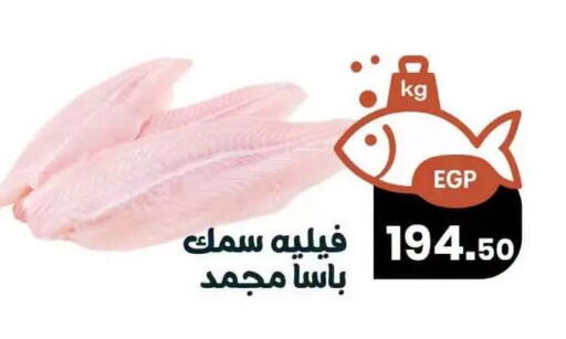 available at Arafa  in Egypt - Cairo