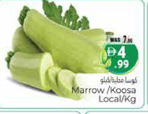 Marrow available at هايبر ماركت باسونز in الإمارات العربية المتحدة , الامارات - ٱلْعَيْن‎