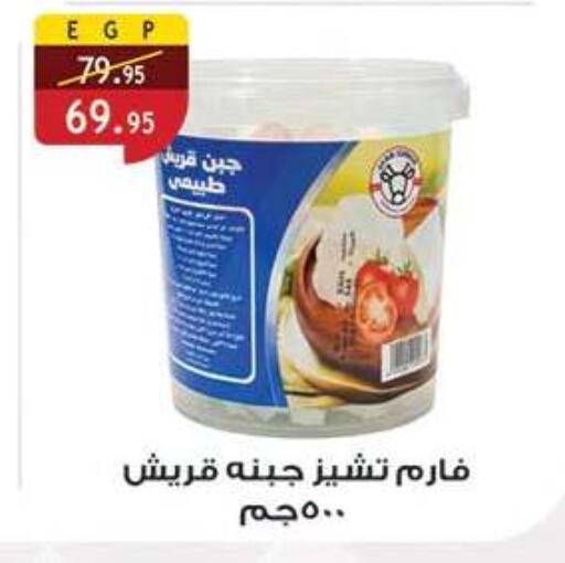 available at الرايه  ماركت in Egypt - القاهرة