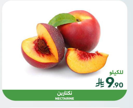 Nectarine available at  مـزايــا in مملكة العربية السعودية, السعودية, سعودية - المنطقة الشرقية