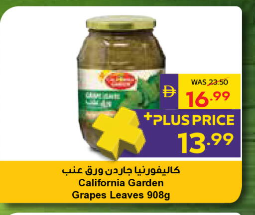 Grapes available at أدكووب in الإمارات العربية المتحدة , الامارات - أبو ظبي