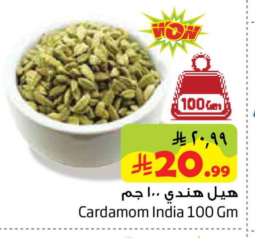 Cardamom available at ليان هايبر in مملكة العربية السعودية, السعودية, سعودية - المنطقة الشرقية