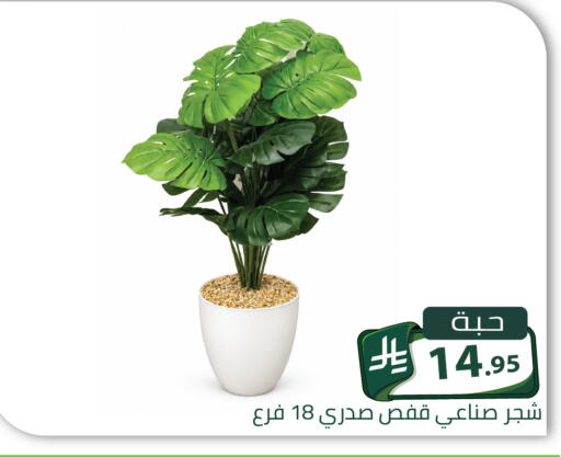available at تخفيضات العائلة in مملكة العربية السعودية, السعودية, سعودية - الرياض