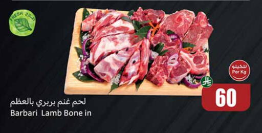 available at أسواق عبد الله العثيم in مملكة العربية السعودية, السعودية, سعودية - الخرج