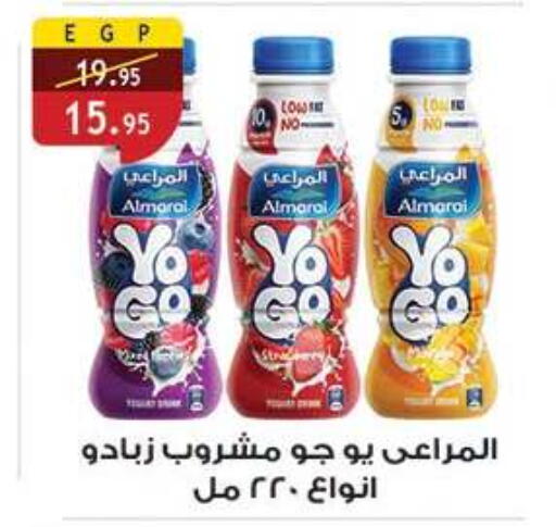 available at الرايه  ماركت in Egypt - القاهرة