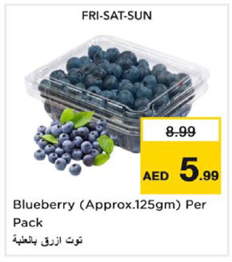 Blueberry BlueBerry available at نستو هايبرماركت in الإمارات العربية المتحدة , الامارات - ٱلْعَيْن‎