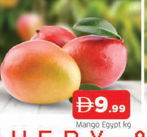 Mango from Egypt available at المدينة in الإمارات العربية المتحدة , الامارات - الشارقة / عجمان