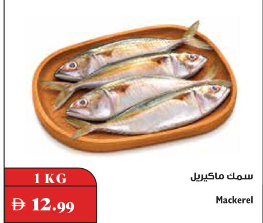 available at تروليز سوبرماركت in الإمارات العربية المتحدة , الامارات - دبي