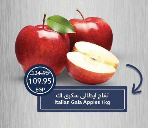 from Italy available at Oscar Grand Stores  in Egypt - Cairo
