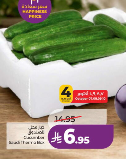 Cucumber from Saudi Arabia available at لولو هايبرماركت in مملكة العربية السعودية, السعودية, سعودية - ينبع