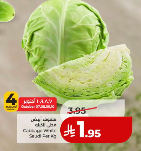 Cabbage from Saudi Arabia available at LULU Hypermarket in KSA, Saudi Arabia, Saudi - Tabuk