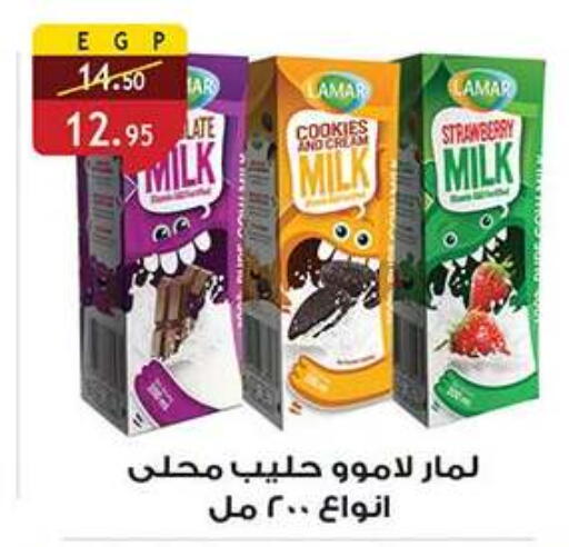 Strawberry available at Al Rayah Market   in Egypt - Cairo