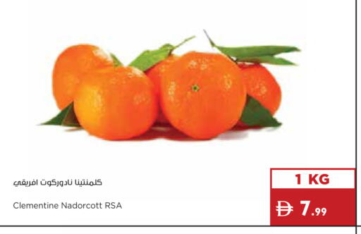 available at إسطنبول سوبرماركت in الإمارات العربية المتحدة , الامارات - ٱلْعَيْن‎