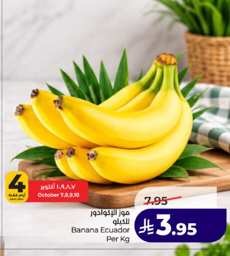 Banana from Ecuador available at لولو هايبرماركت in مملكة العربية السعودية, السعودية, سعودية - الخبر‎