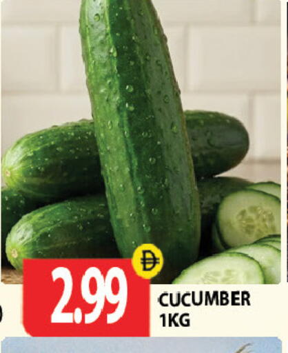 Cucumber available at جلف هايبرماركت ذ.م.م in الإمارات العربية المتحدة , الامارات - رَأْس ٱلْخَيْمَة