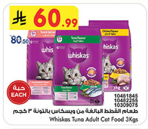 available at بن داود in مملكة العربية السعودية, السعودية, سعودية - خميس مشيط