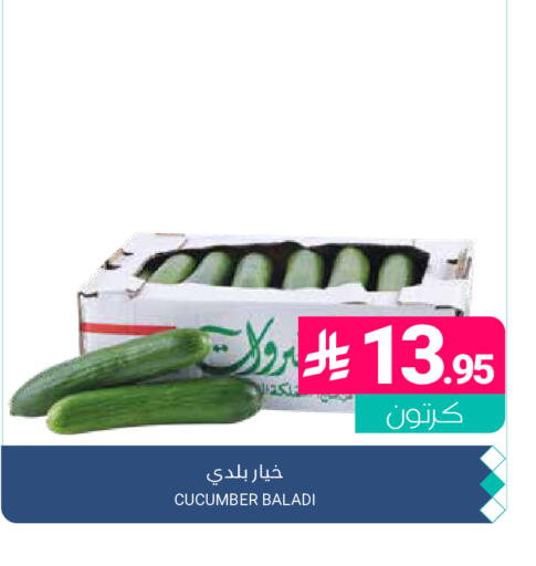Cucumber available at اسواق المنتزه in مملكة العربية السعودية, السعودية, سعودية - المنطقة الشرقية