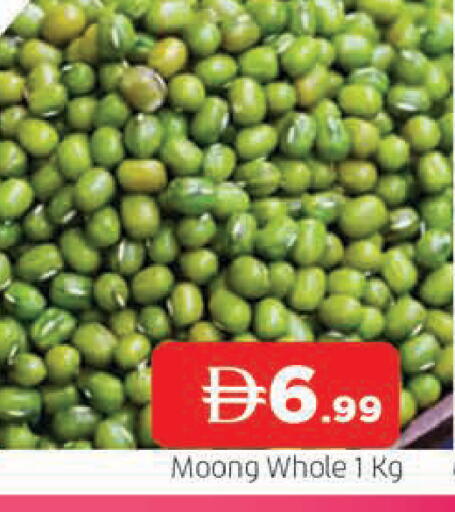 available at المدينة in الإمارات العربية المتحدة , الامارات - الشارقة / عجمان