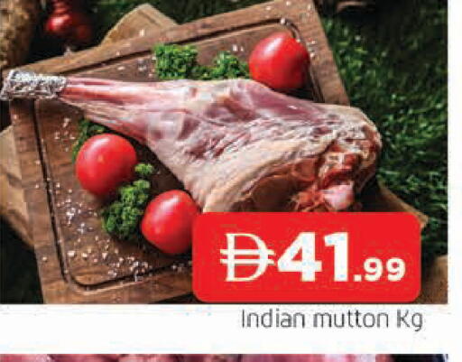 available at المدينة in الإمارات العربية المتحدة , الامارات - الشارقة / عجمان