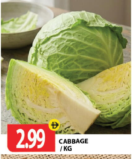 Cabbage available at جلف هايبرماركت ذ.م.م in الإمارات العربية المتحدة , الامارات - رَأْس ٱلْخَيْمَة