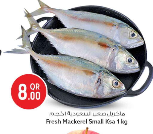 available at سفاري هايبر ماركت in قطر - الخور