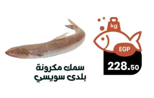 available at Arafa  in Egypt - Cairo