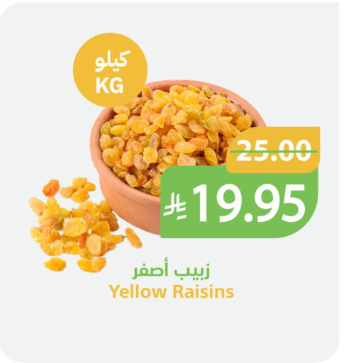 available at أسواق قاطبة in مملكة العربية السعودية, السعودية, سعودية - بريدة