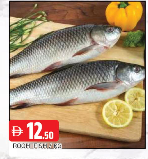 available at AL MADINA in UAE - Sharjah / Ajman