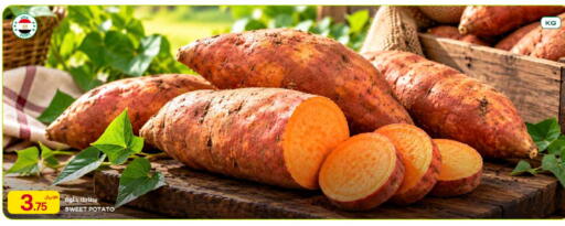 Sweet Potato from Egypt available at شركة الميرة للمواد الاستهلاكية in قطر - الوكرة
